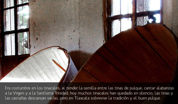 Sombras en Tinacal