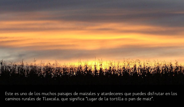 Paisajes de Maizales
